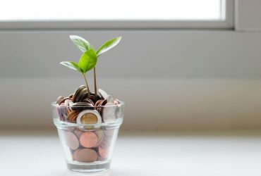 Wealth Creation